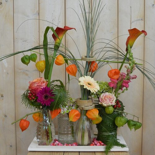 Workshop week 35 - TuinWereld Wijchen