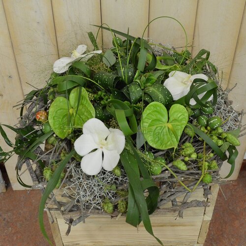 Workshop week 38 - TuinWereld Wijchen