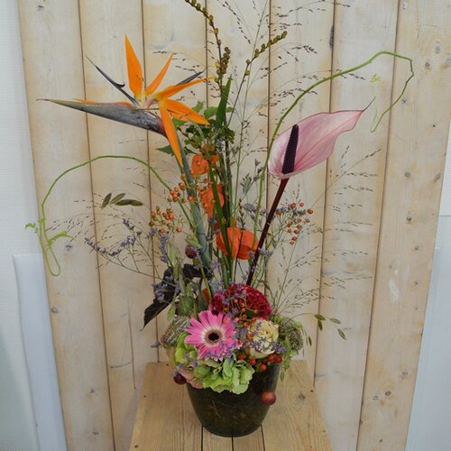 Workshop week 41 - TuinWereld Wijchen