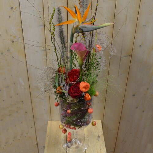 Workshop week 41 - TuinWereld Wijchen