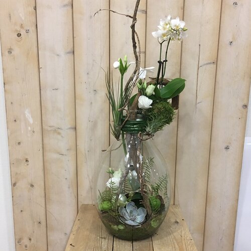 Workshop week 42 - TuinWereld Wijchen
