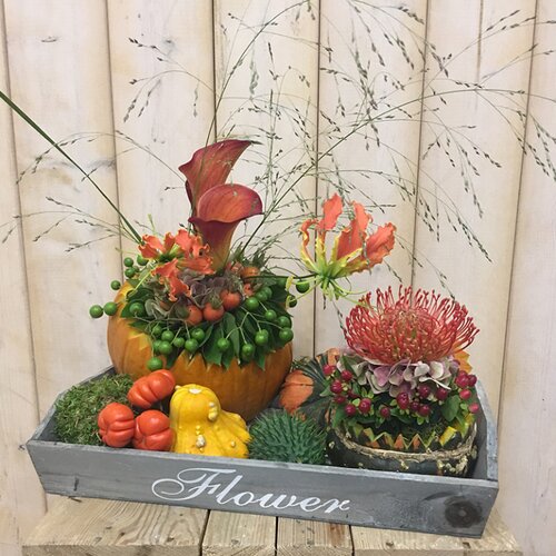 Workshop week 43 - TuinWereld Wijchen