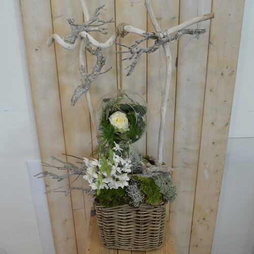 Workshop week 43 - TuinWereld Wijchen
