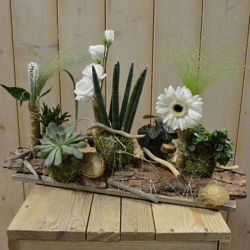 Workshop week 46 - TuinWereld Wijchen