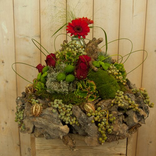 Workshop week 46 - TuinWereld Wijchen Extra