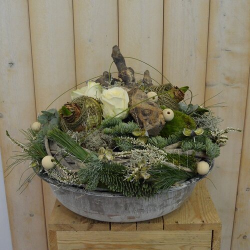 Workshop week 47 - TuinWereld Wijchen