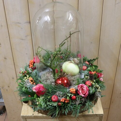 Workshop week 47 - TuinWereld Wijchen