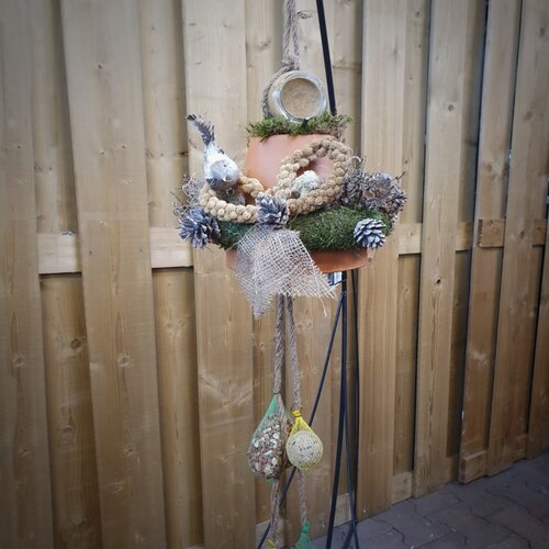 Workshop week 48 - TuinWereld Malden