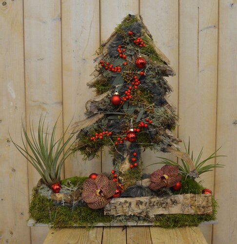 Workshop week 49 - TuinWereld Wijchen Extra