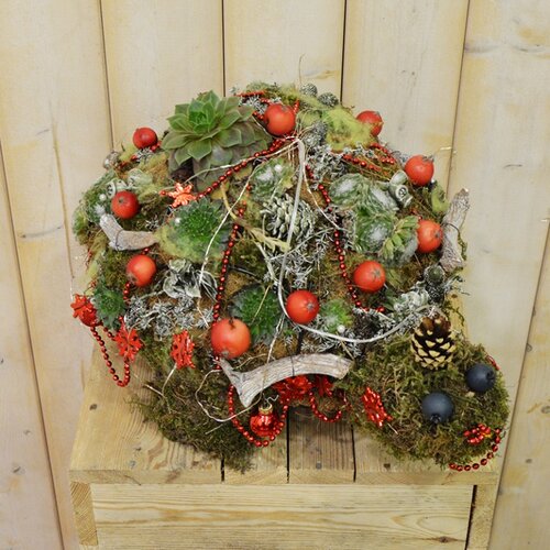 Workshop week 49 - TuinWereld Wijchen