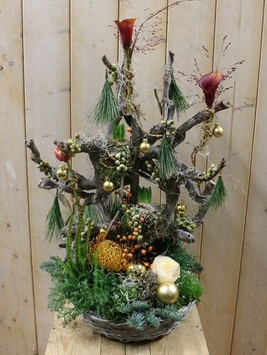 Workshop week 49 - TuinWereld Wijchen