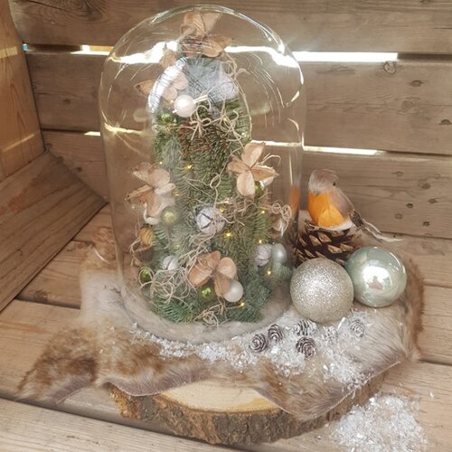 Workshop week 50 - TuinWereld Malden