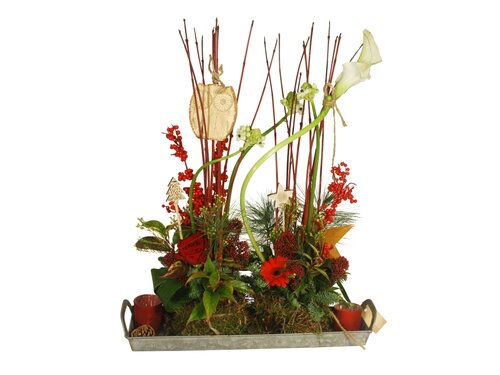 Workshop week 51 - TuinWereld Tiel