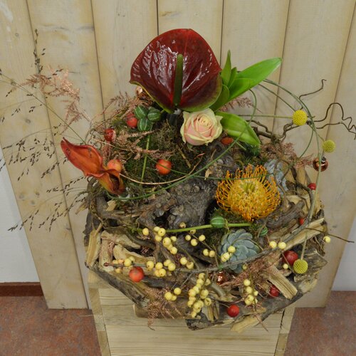 Workshop week 50 - TuinWereld Wijchen