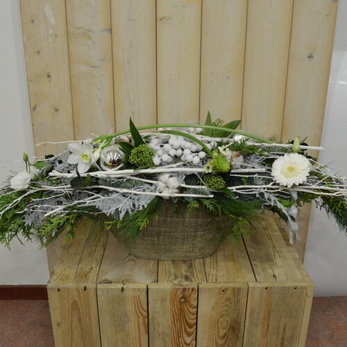 Workshop week 50 - TuinWereld Wijchen
