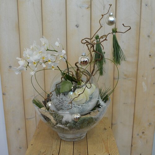 Workshop week 50 - TuinWereld Wijchen