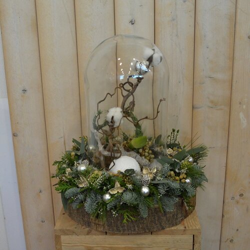 Workshop week 50 - TuinWereld Wijchen