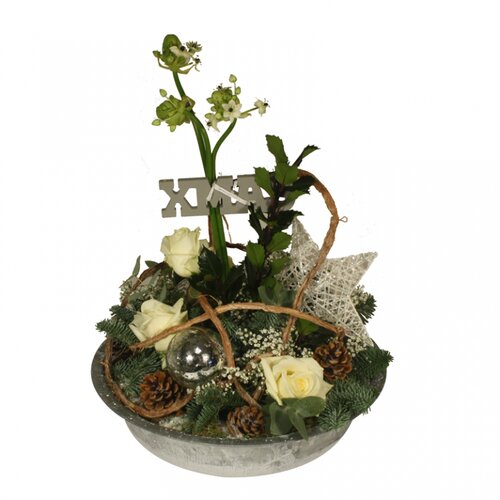 Workshop week 51 - TuinWereld Tiel