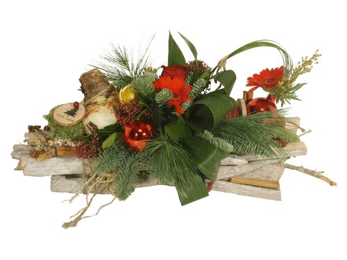 Workshop week 51 - TuinWereld Tiel