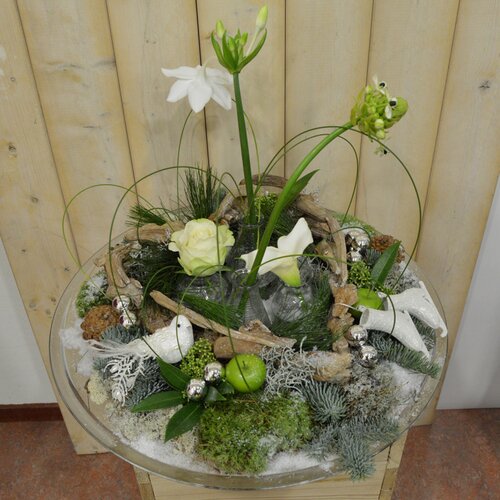 Workshop week 51 - TuinWereld Wijchen