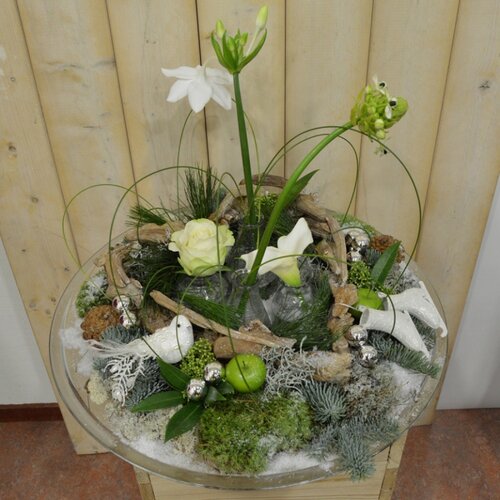 Workshop week 51 - TuinWereld Wijchen