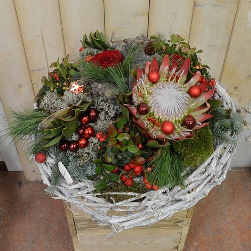 Workshop week 50 - TuinWereld Wijchen