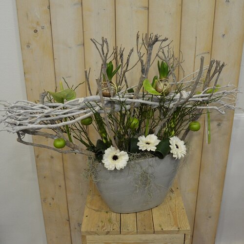 Workshop week 8 - TuinWereld Wijchen