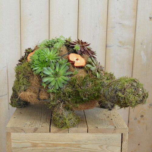 Workshop week 27 - TuinWereld Wijchen