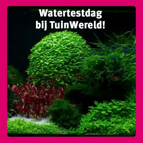 Zaterdag 20 mei - watertestdag