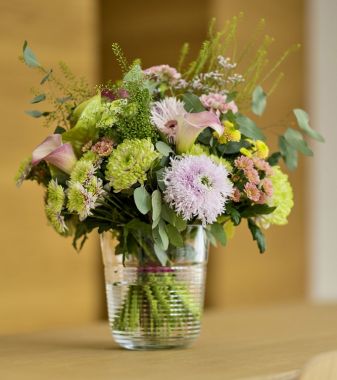 De chrysant staat in februari op de Bloemenagenda