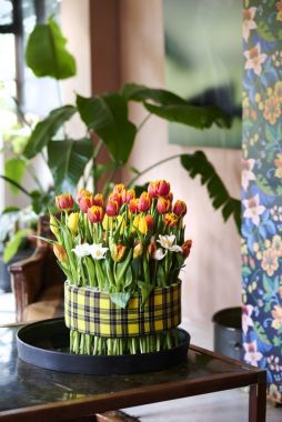 De tulp staat in maart op de Bloemenagenda