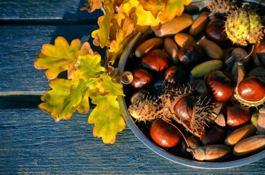 Knutselen met kastanjes in de herfstvakantie