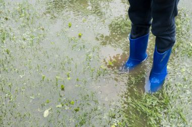 Maak je tuin regenbestendig