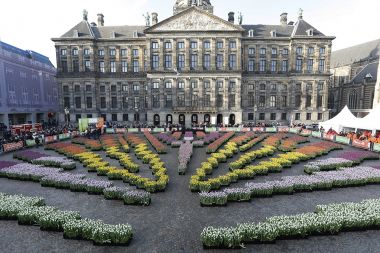 Nationale Tulpendag 2020