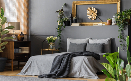 Kamerplanten voor in de slaapkamer vindt u bij TuinWereld