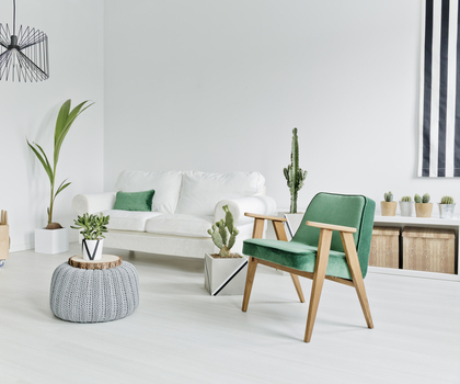 Kamerplanten voor in de woonkamer vindt u bij Tuincentrum TuinWereld