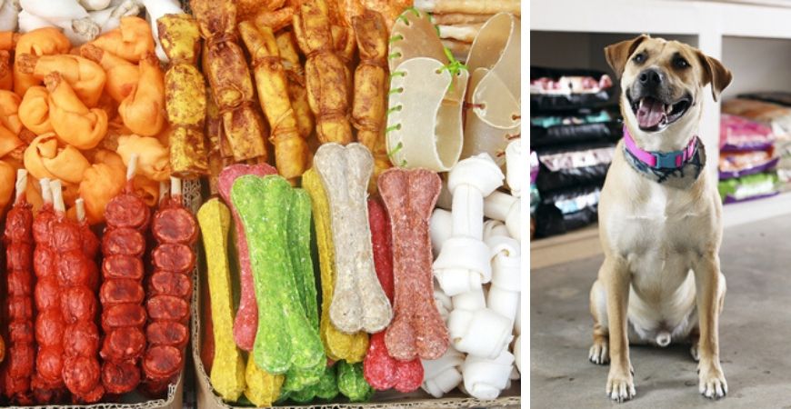Tuincentrum TuinWereld | Dierenwinkel | Dierenafdeling | Honden