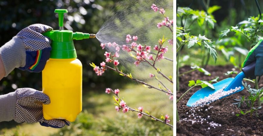 Tuincentrum Tuinwereld | Gewasbescherming | Bestrijdingsmiddelen