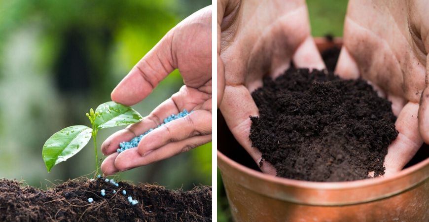 Tuincentrum Tuinwereld | Grondsoorten | Meststoffen | ECOstyle | Pokon