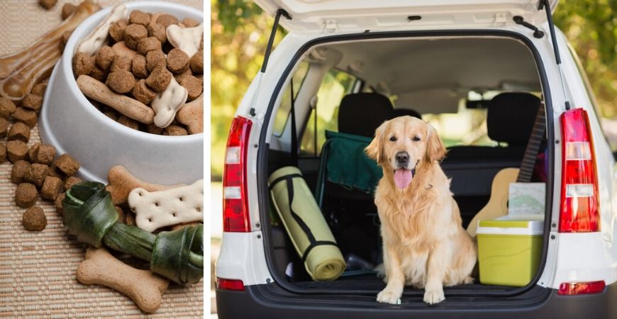 Tuincentrum TuinWereld | Dierenwinkel | Dierenafdeling | Honden
