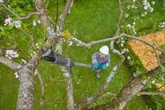 GARDENA Accu-telescooptakkenschaar HighCut 360/18V P4A solo - afbeelding 5