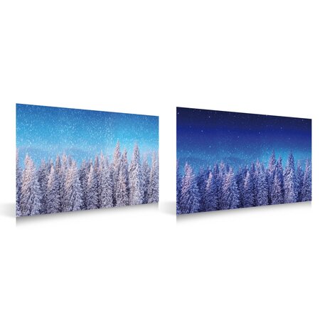 Achtergrond Dubbelzijdig- Bos Dag & Nacht 59X39Cm