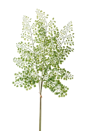 Fern adianthum spray bundle green 58cm