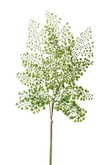 Fern adianthum spray bundle green 58cm