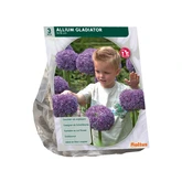 Allium Gladiator His Excellence per 3 - afbeelding 2