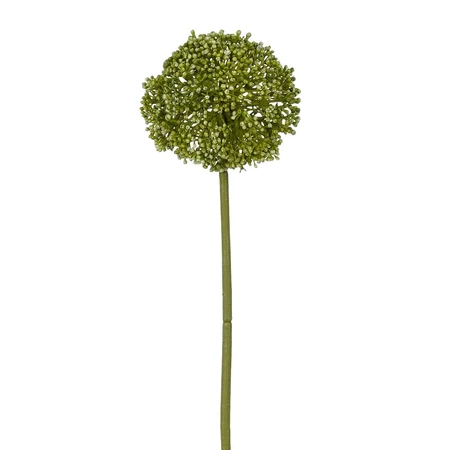 Allium groen - l60cm