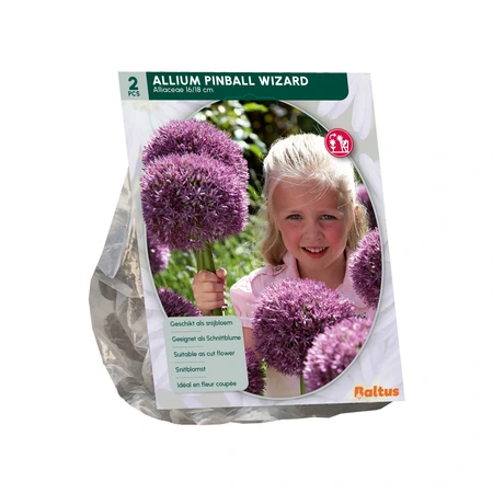 Allium Pinball Wizard per 2 - afbeelding 2
