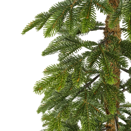 Alpine tree - 591tips - H210cm x D 50cm - afbeelding 2