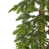 Alpine tree - 591tips - H210cm x D 50cm - afbeelding 2
