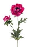 Anemone spray fuchsia 54cm